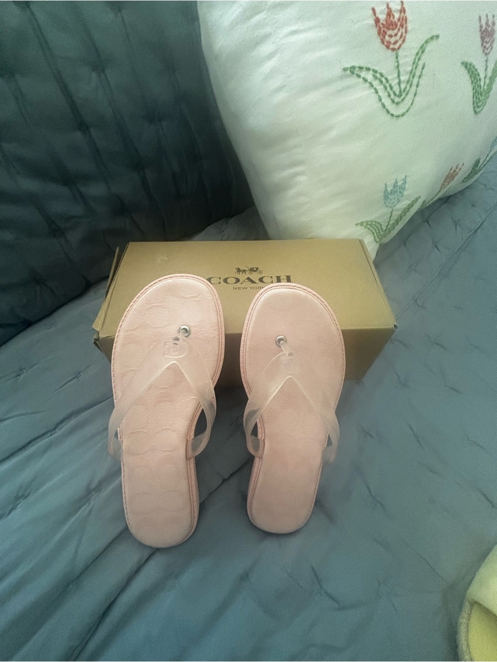 Coach Light Pink Suede Thong Sandals